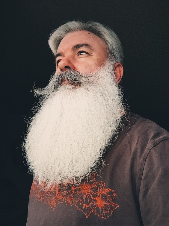 Full White Beard with Messy Bun