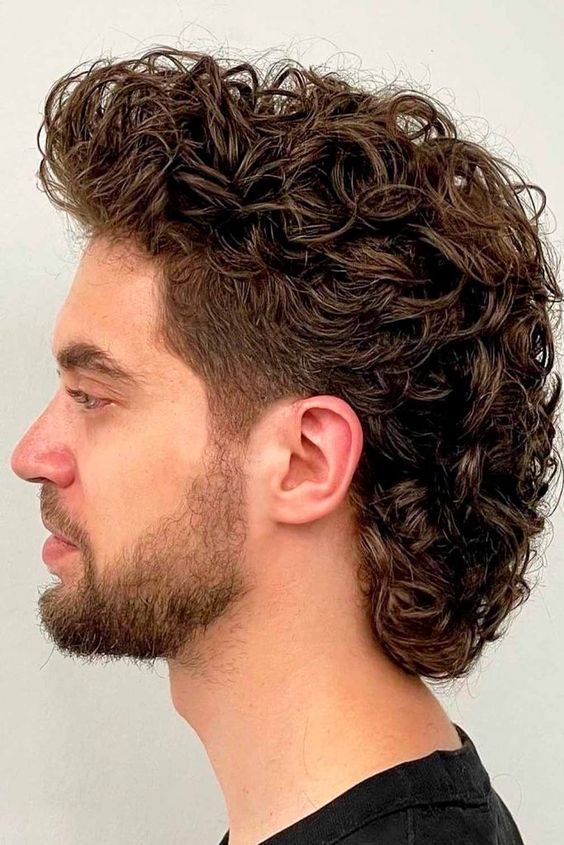 Sleek Wavy Wolf Cut