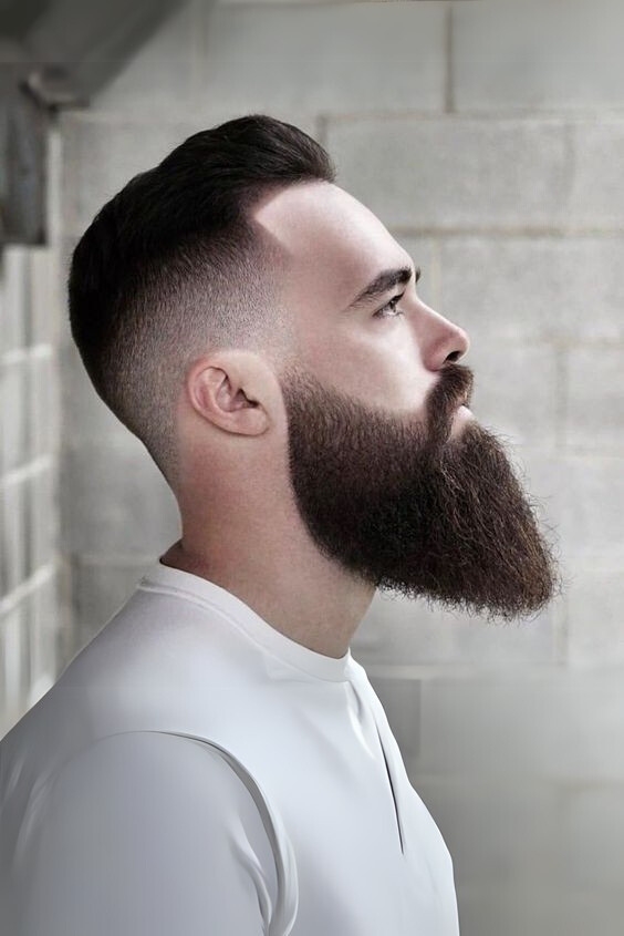 Tapered Bushy Beard