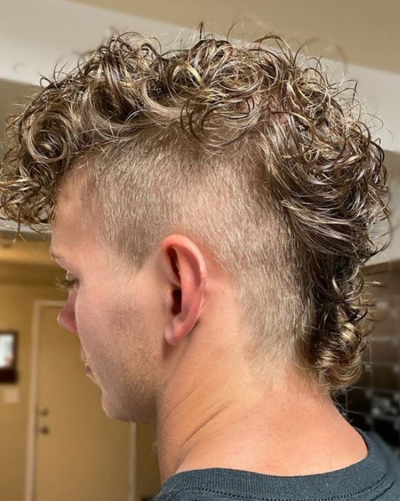 The Curly Mohawk