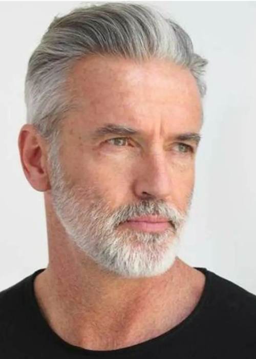 Distinguished Short Beard with Volume on Top