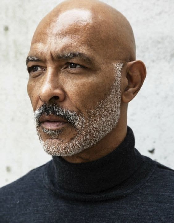 Sleek Silver Beard with Side-Parted Hair