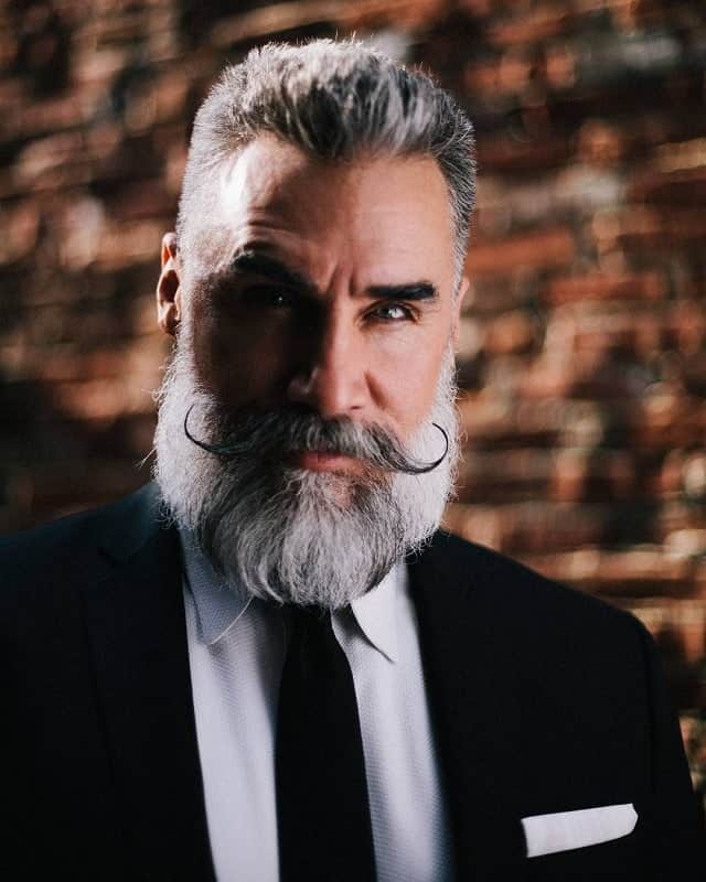Long, Flowing Grey Beard with Tapered Sides