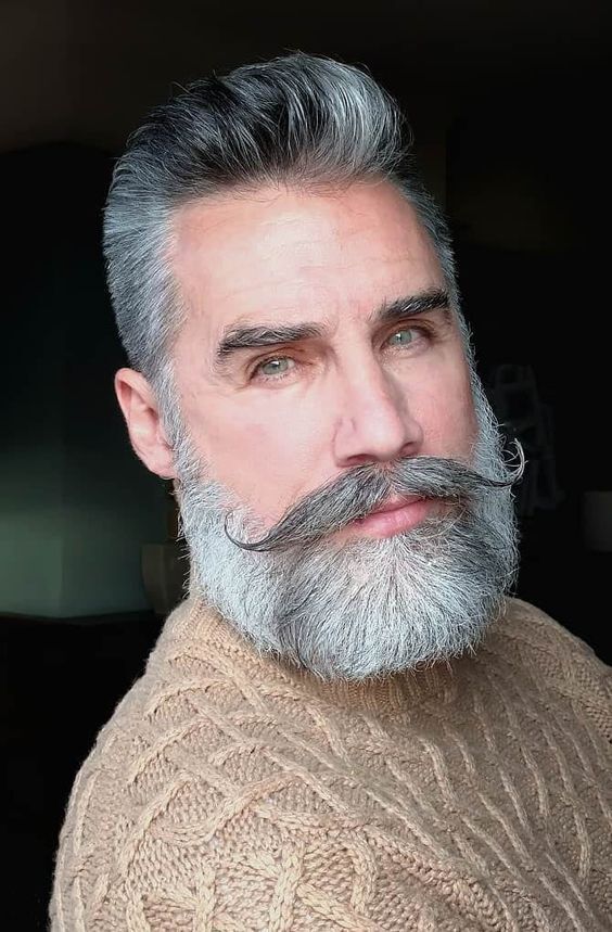 Distinguished Salt-and-Pepper Beard for Men