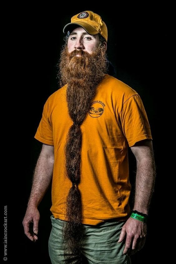 Textured Long Beard with a Taper