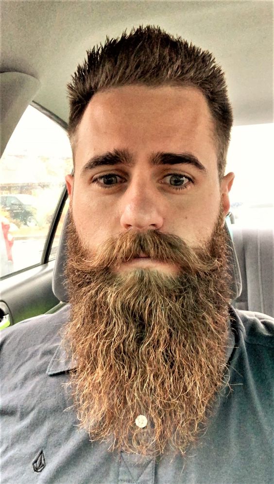 Layered Beard with Structured Density