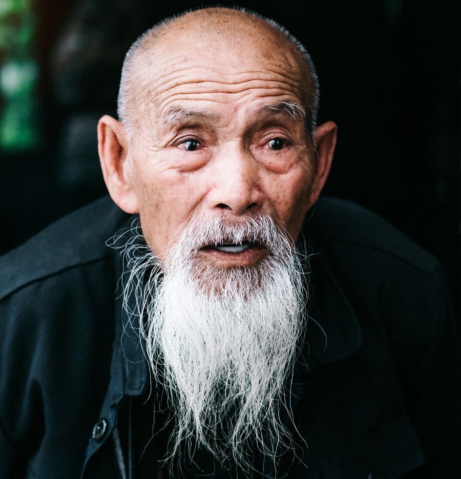 Extended Chin Beard with Soft Drop Fade